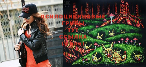 экстази Белокуриха